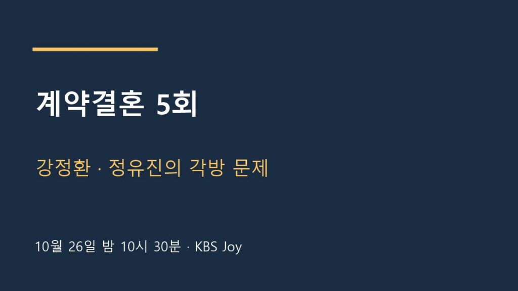 계약결혼 방송 안내