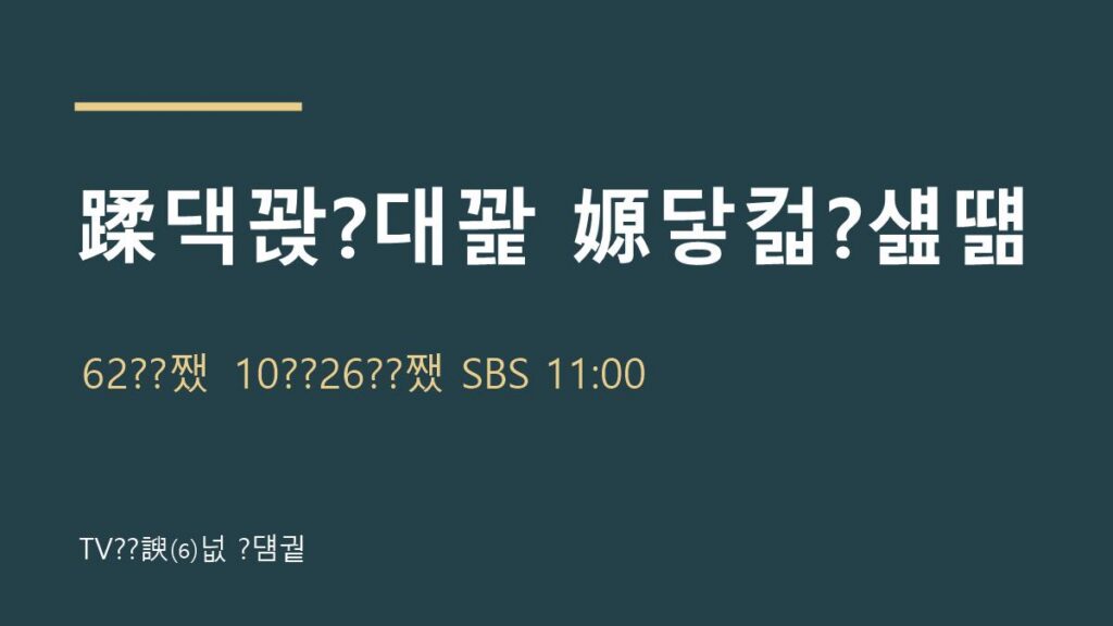 보석이네 건강수다 62회 10월 26일 방송 안내