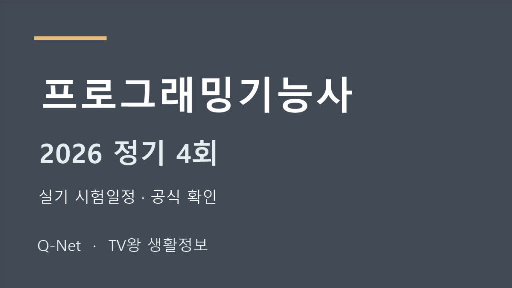 프로그래밍기능사 2026 정기 4회 실기 시험일정