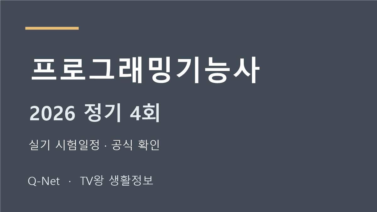 프로그래밍기능사 2026 정기 4회 실기 시험일정