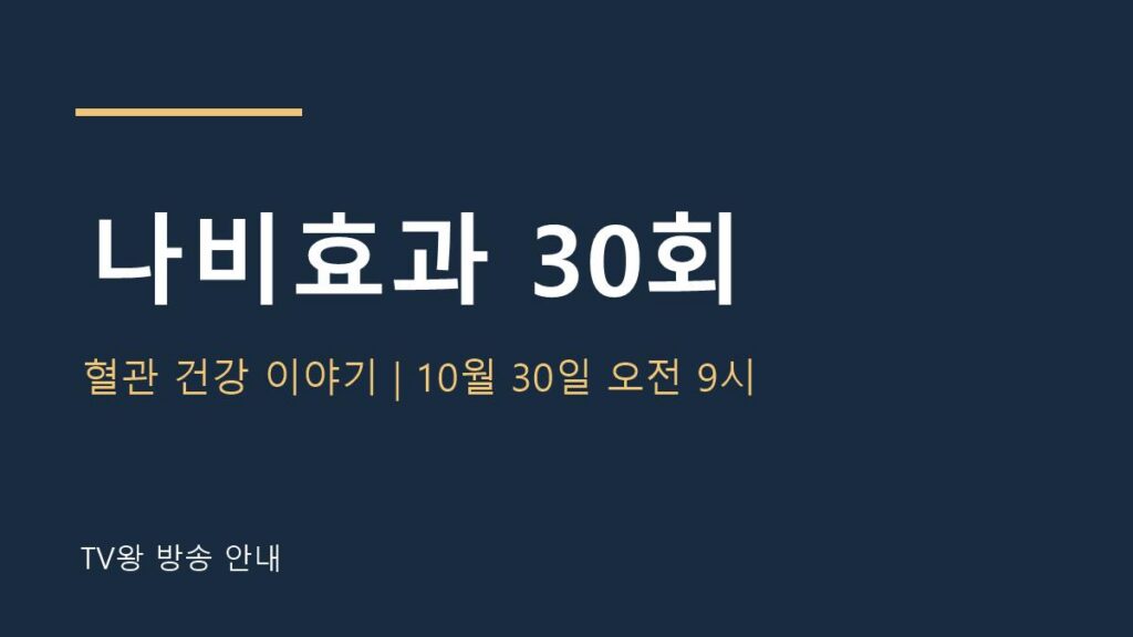 나만의 시크릿 나비효과 30회 TV왕 안내