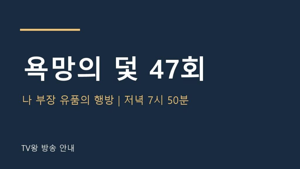 욕망의 덫 47회 TV왕 방송 안내