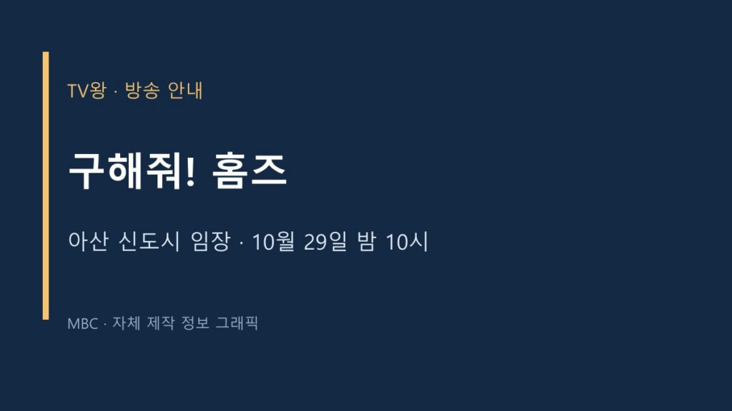 구해줘! 홈즈 TV왕 자체 제작 방송 안내